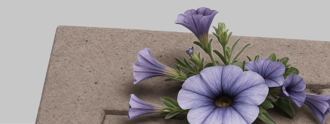 Carrucel_Proyecto 10_02
