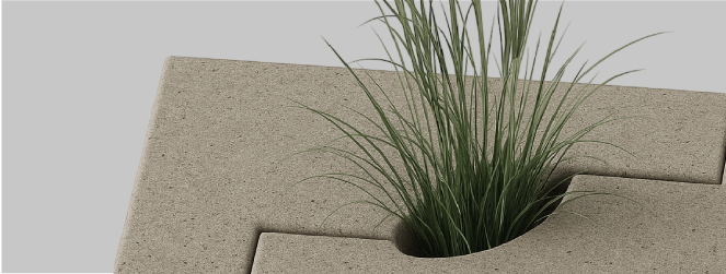 Carrucel_Proyecto 10_06
